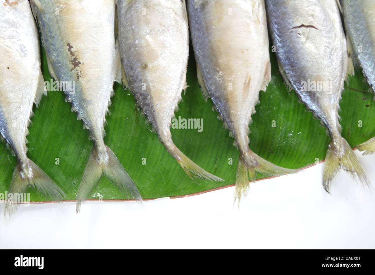 Pla Tuu , Thai pesce sgombro Foto Stock