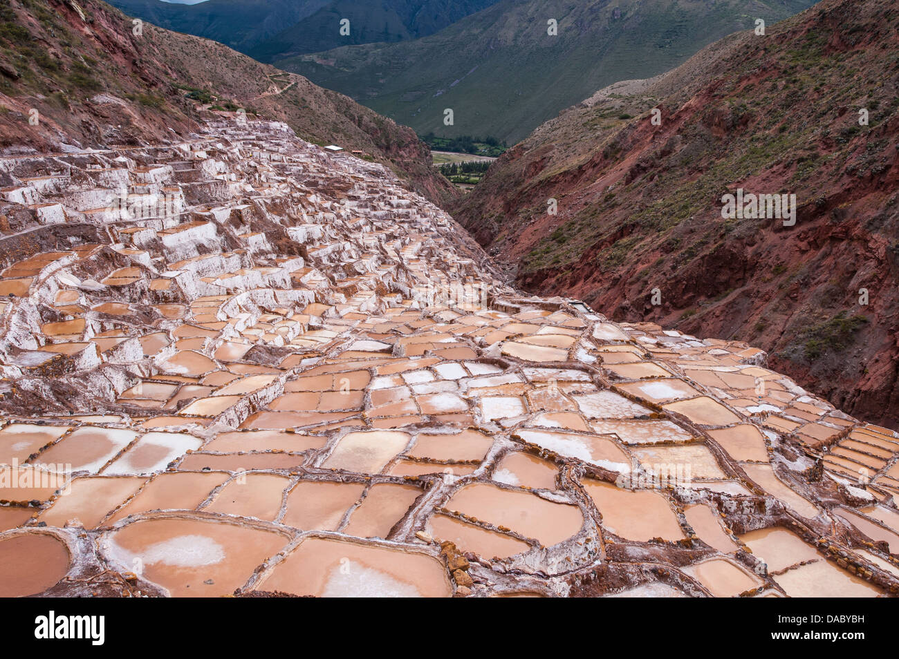 Saline (MINE) a Maras, Valle Sacra, Perù, Sud America Foto Stock