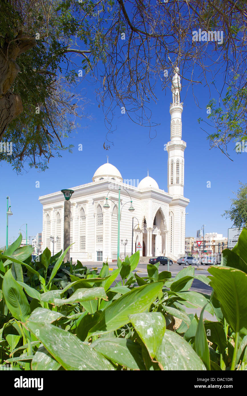 Moschea di Zayed Bin Sultan Street, Al Ain, Abu Dhabi, Emirati Arabi Uniti, Medio Oriente Foto Stock