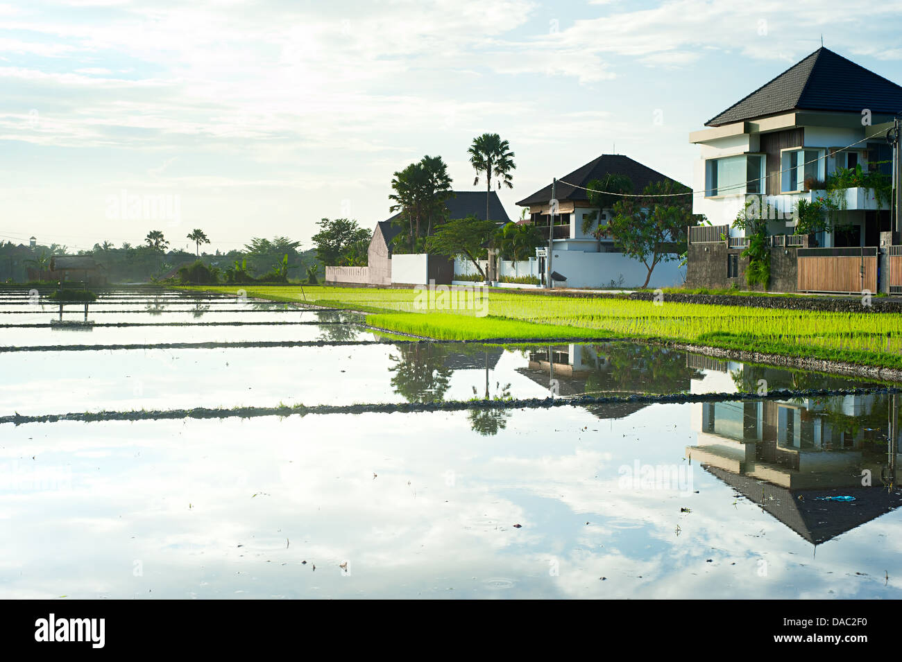 Cottages riflettendo in campo di riso al tramonto sull'isola di Bali, Indonesia Foto Stock