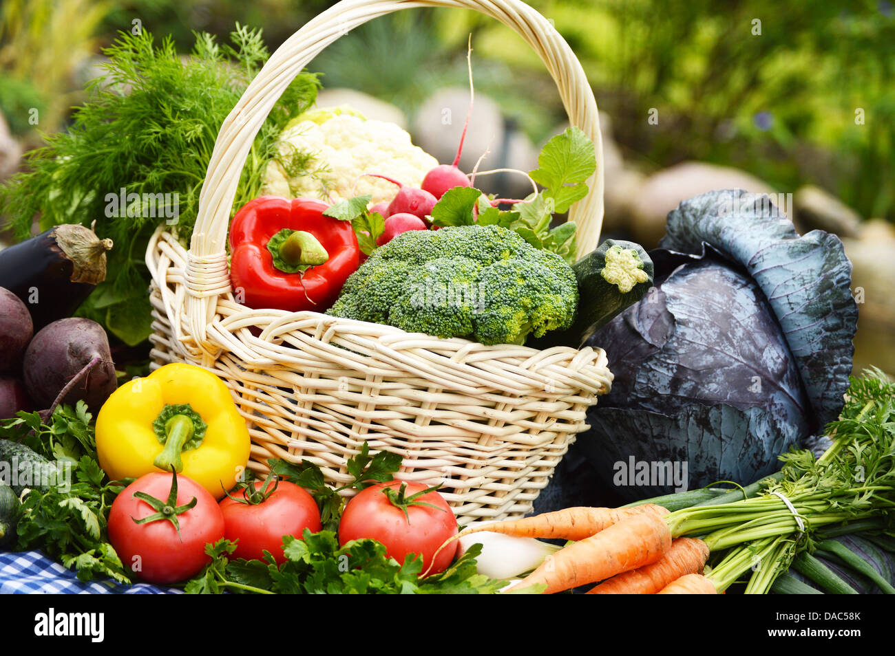 Un assortimento di verdure in cesto di vimini in giardino Foto Stock