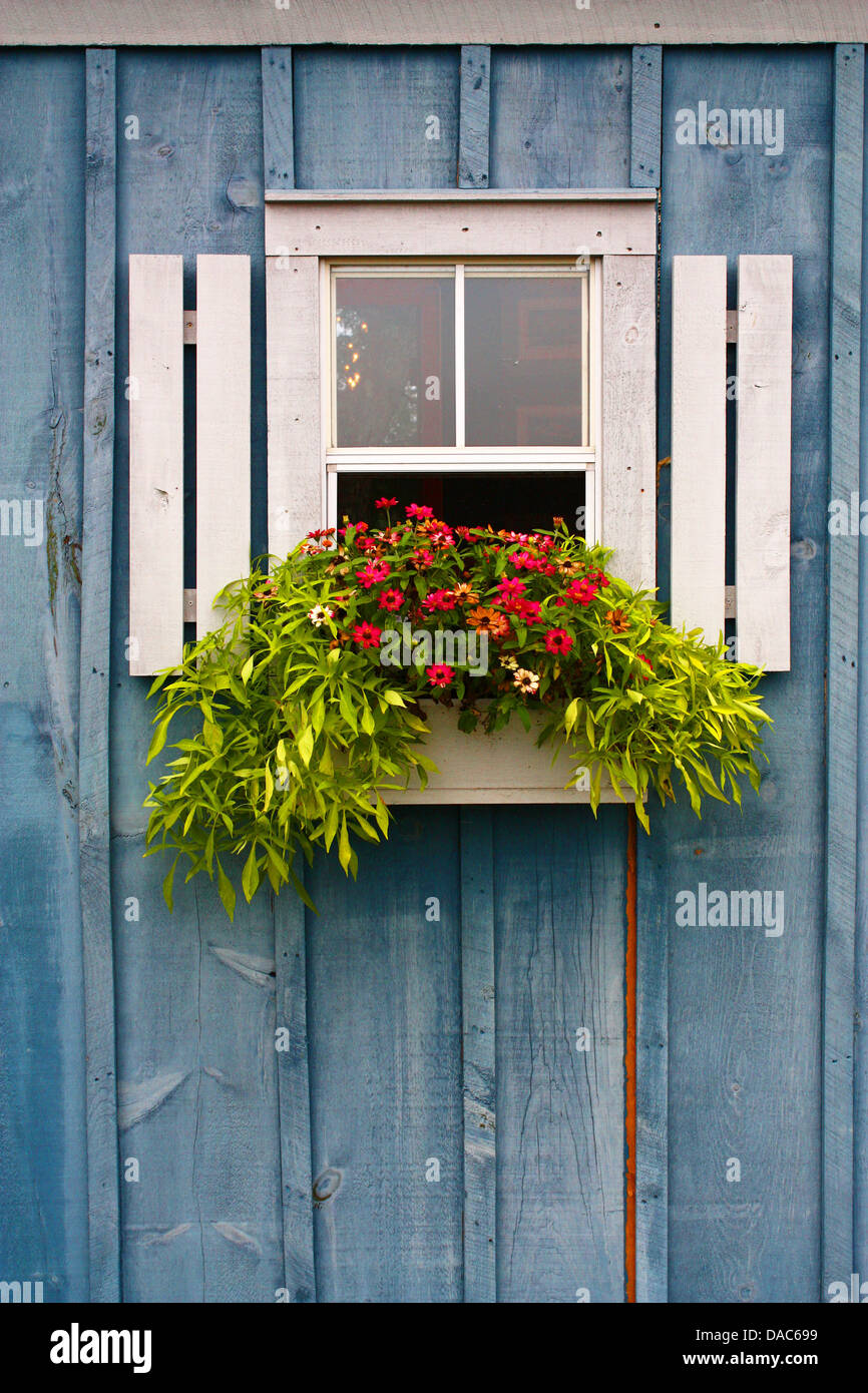 Hyannisport finestra Stand Foto Stock