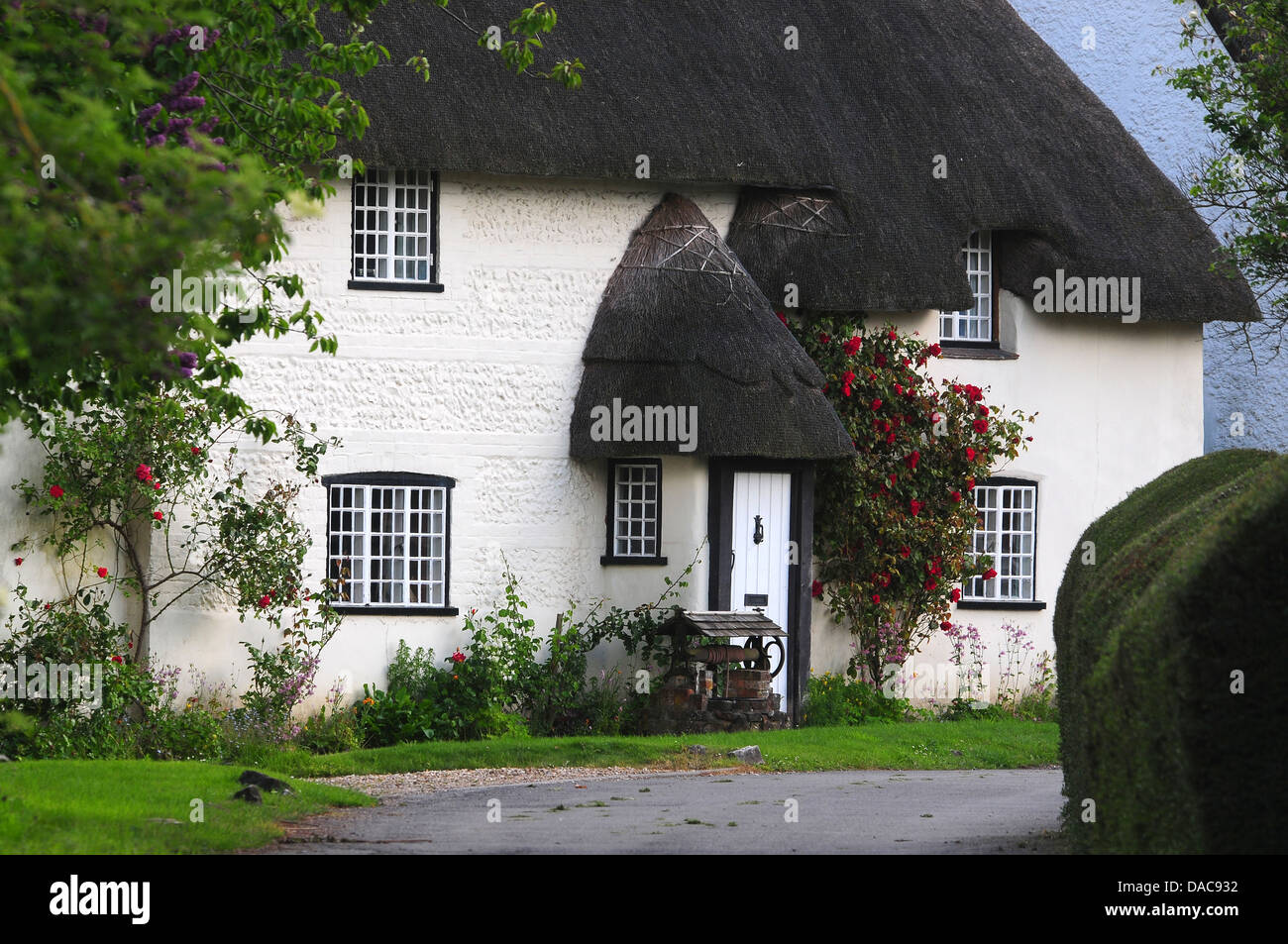 Un cottage con tetto di paglia in Tarrant Monkton Dorset Regno Unito Foto Stock