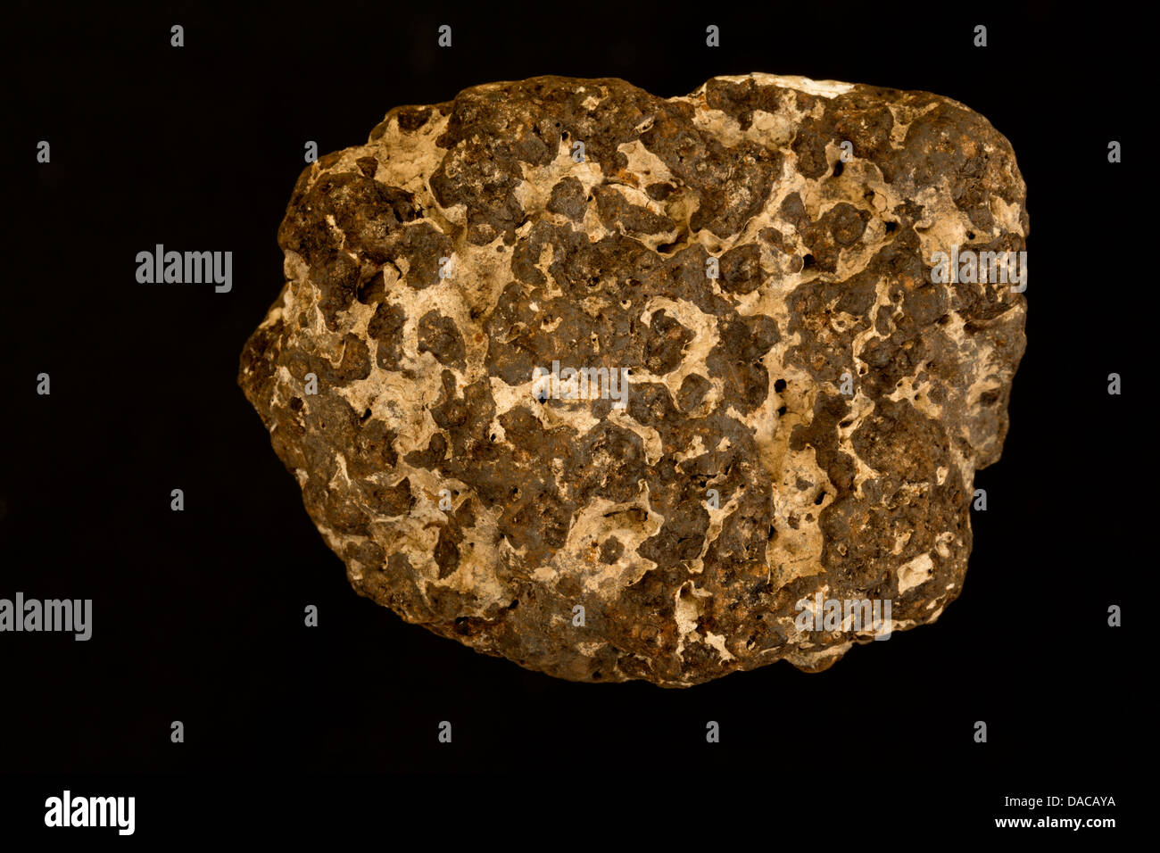 Goethite (FeO(OH)), un minerale del minerale di ferro Foto stock - Alamy