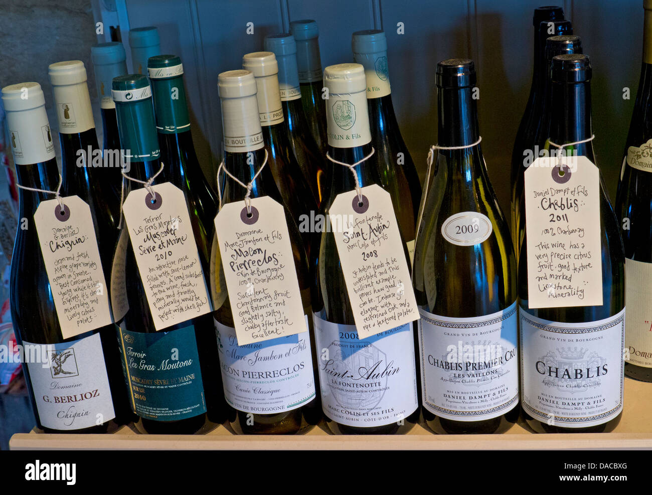 Varietà di bottiglie di vino in vendita in fattoria rurale shop con origine descrittivo e gusto etichette di informazioni Foto Stock