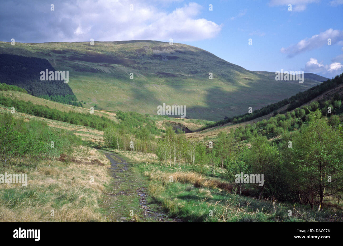 Glen Carrifran guardando verso Moffat Dale e Legge Bodesbeck Hill, Dumfries & Galloway, Scotland, Regno Unito Foto Stock