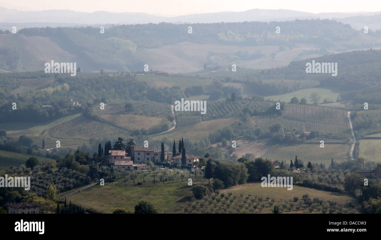 Colline Toscane vicino a San Gimignano in Toscana, Italia Foto Stock