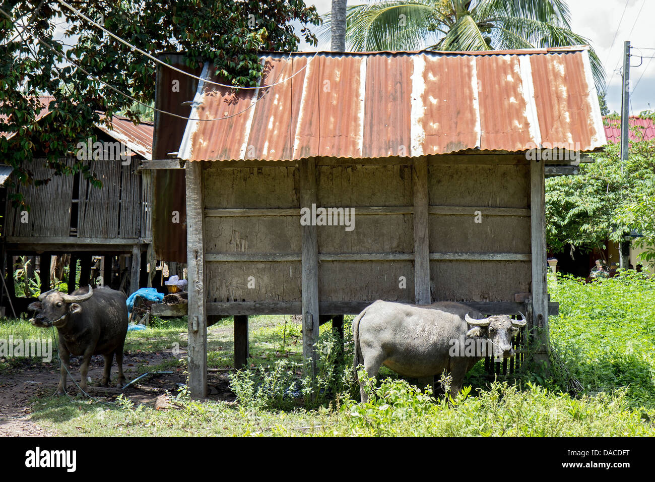 La vita del villaggio in Laos Foto Stock