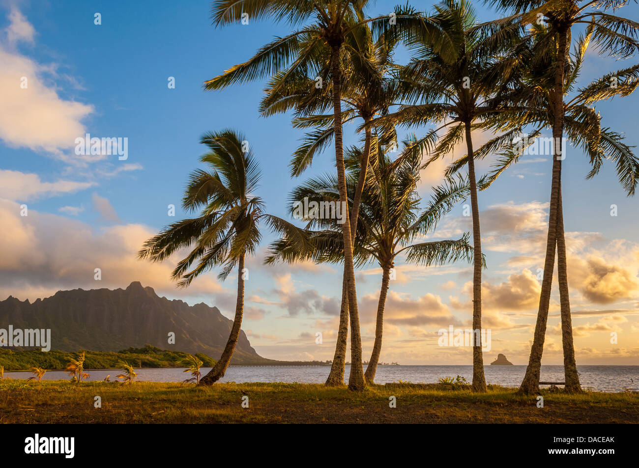 Punto Kualoa e Mokoli' mi isola da Waiahole Beach, sopravvento, Oahu, Hawaii. Foto Stock