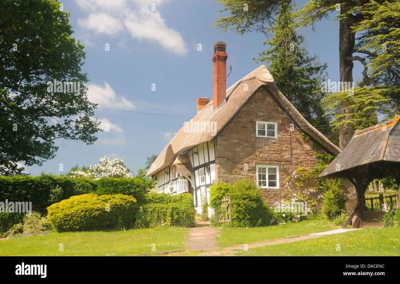 Church Cottage, un xvii c. cottage con tetto in paglia in Stretton Grandison, Herefordshire, Inghilterra Foto Stock