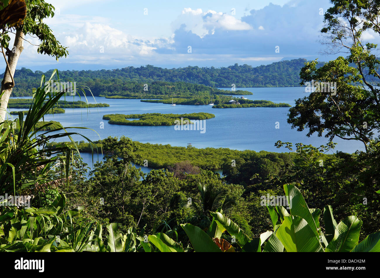 Paesaggio tropicale con gli isolotti dell'arcipelago di Bocas del Toro,mare dei Caraibi, Panama Foto Stock