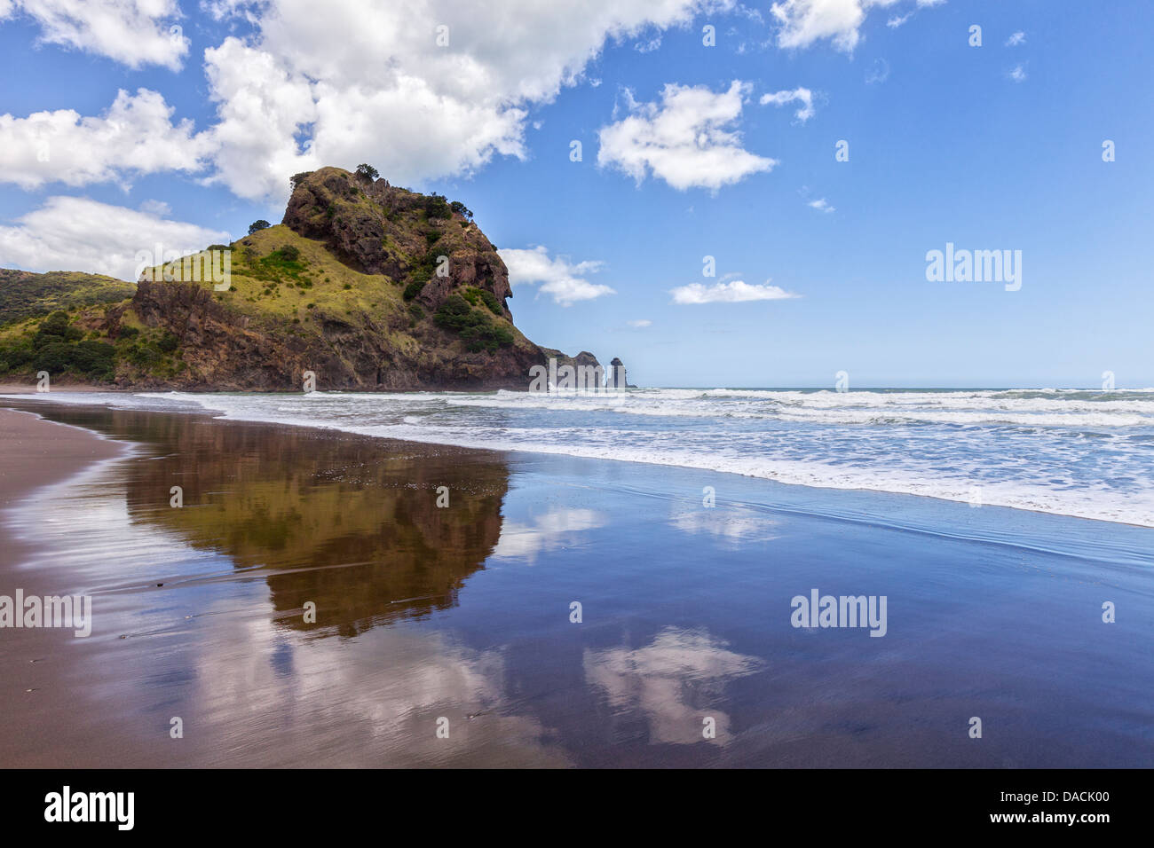 Piha Beach e Lion Rock, Regione di Auckland, Nuova Zelanda. Foto Stock