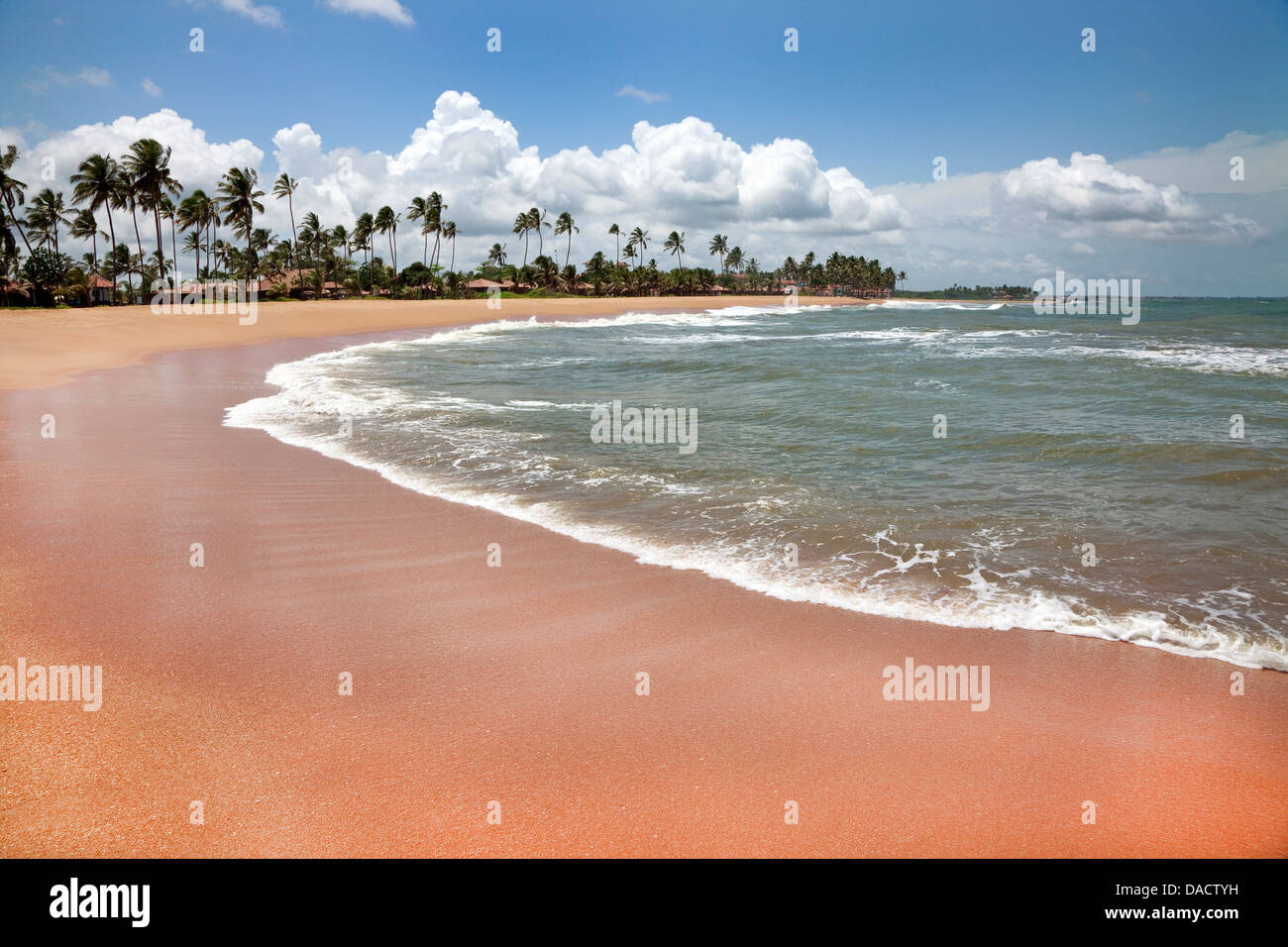 Spiaggia di Waikkal village, Sri Lanka Foto Stock