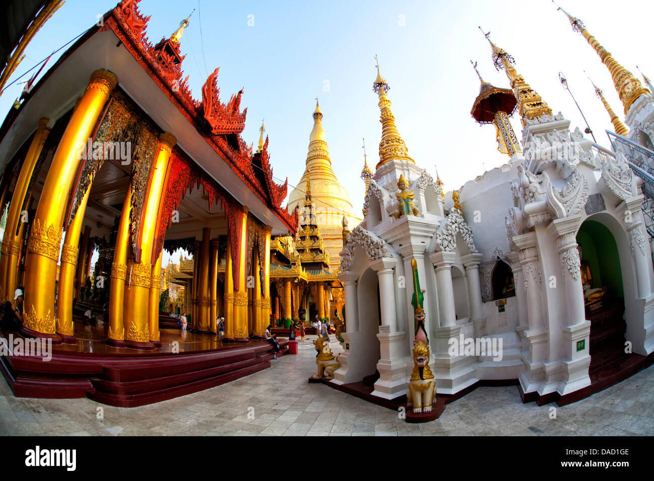 Fisheye immagine di templi e santuari a Shwedagon Paya (Pagoda), Yangon (Rangoon), Myanmar (Birmania), Asia Foto Stock