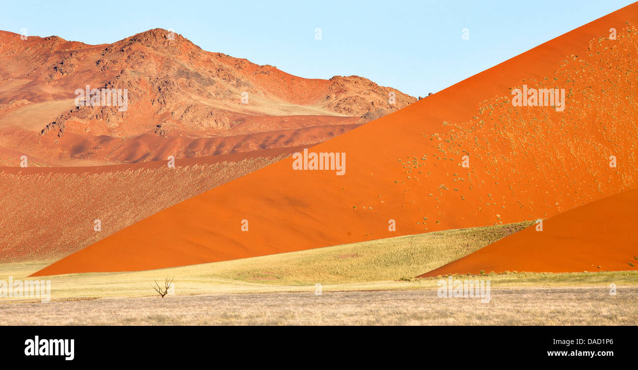 La sovrapposizione di dune di sabbia arancione dell'antico deserto del Namib vicino a Sesriem, Namib Naukluft Park, Namibia, Africa Foto Stock
