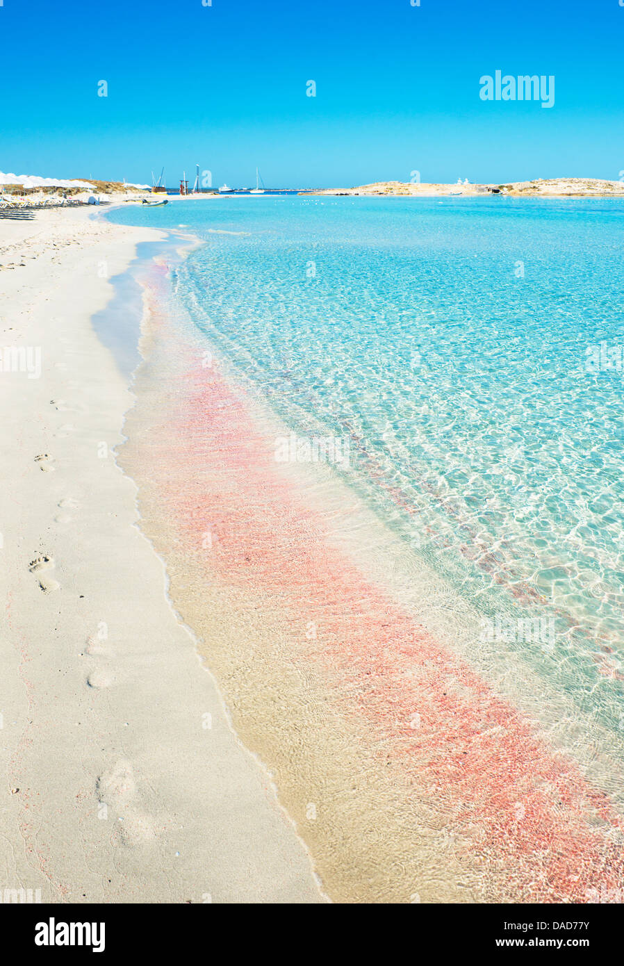 Spiaggia di Ses Illetes, Formentera, isole Baleari, Spagna, Mediterraneo, Europa Foto Stock