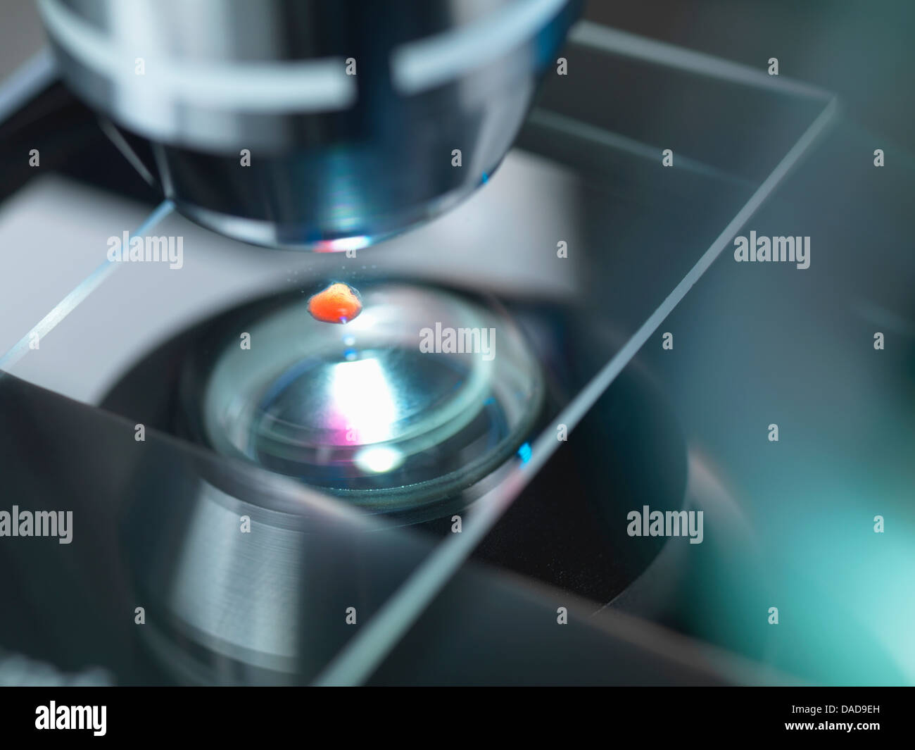 Un microscopio a luce esaminando un campione in laboratorio per la ricerca farmaceutica Foto Stock