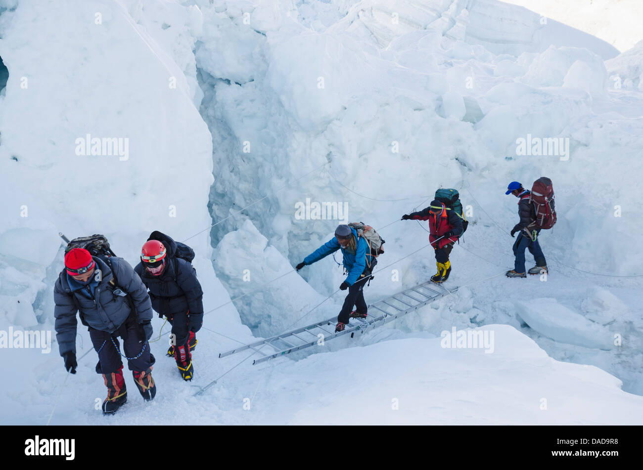 Attraversando le scale sul ghiacciaio Khumbu sul Monte Everest, Solu Khumbu, Parco Nazionale di Sagarmatha, sito UNESCO, Nepal Foto Stock