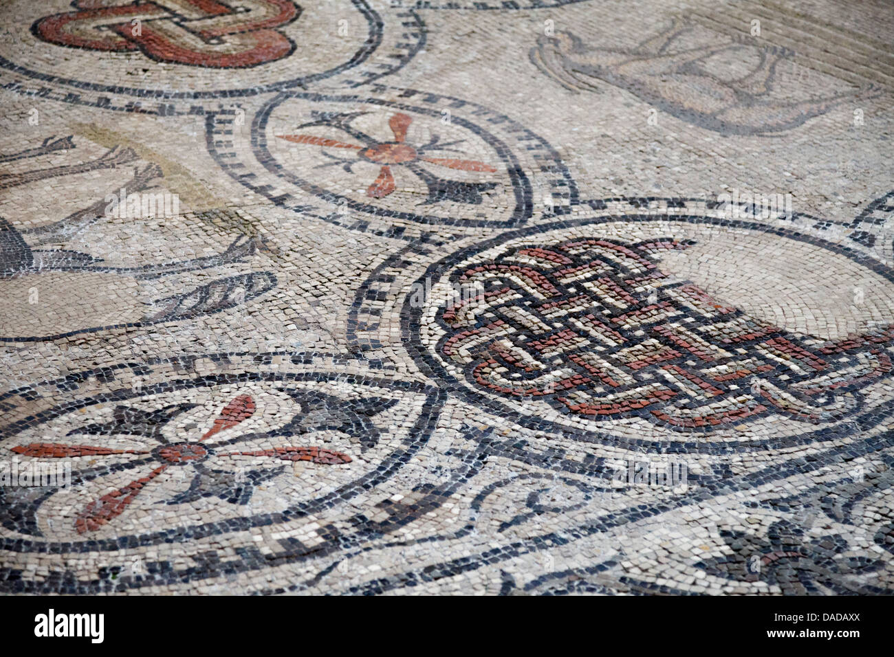 Dettaglio dei bellissimi mosaici della Basilica di Aquileia Foto Stock