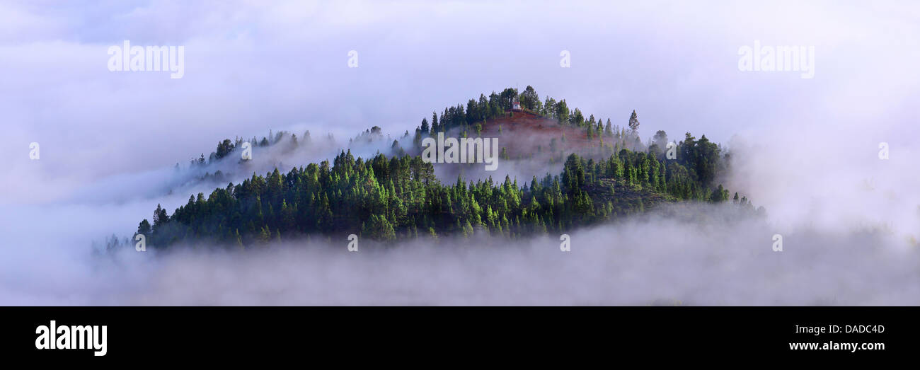 Mountain top sporgono dal mare di nubi, Isole Canarie, Tenerife Foto Stock