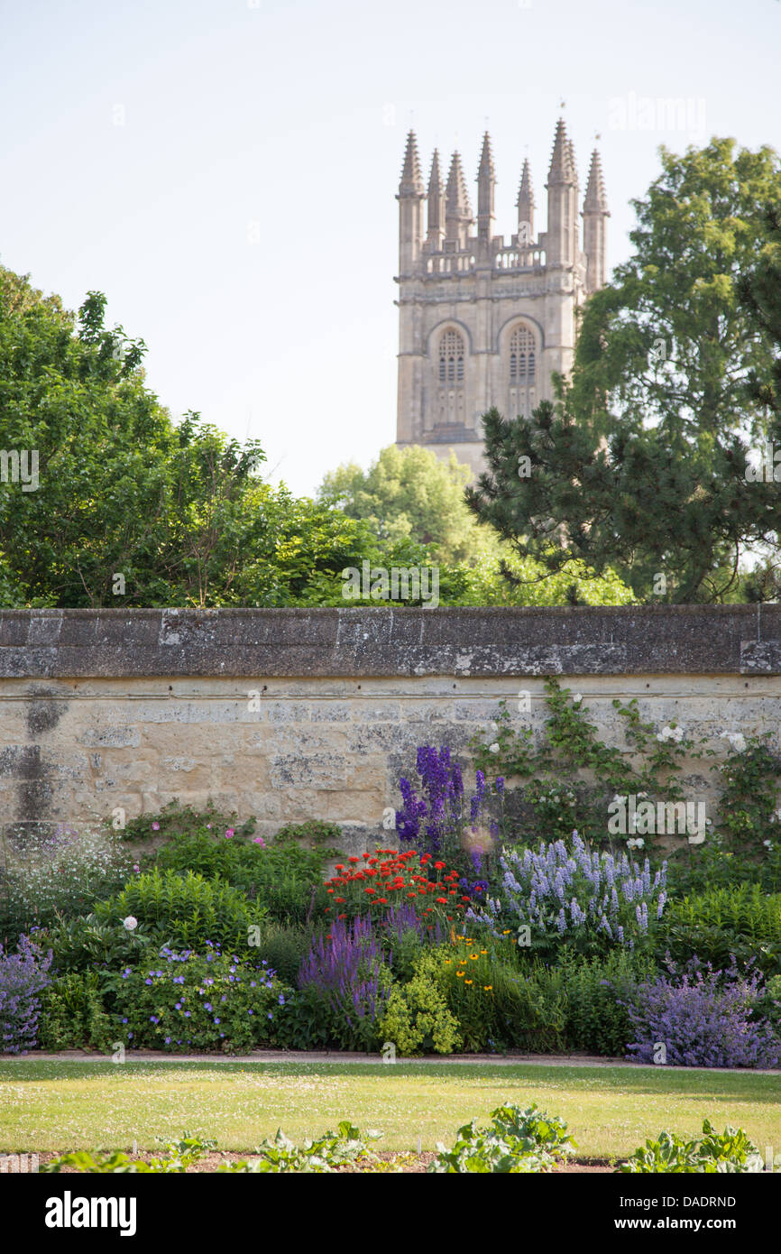 University of Oxford Botanic Garden, Oxford, UK con Magdalen Tower in background Foto Stock