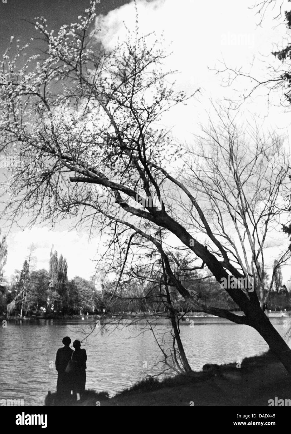 Parigi 1938, matura in un lago. Immagine dal fotografo Fred Stein (1909-1967) che emigrarono 1933 dalla Germania nazista per la Francia e infine negli Stati Uniti. Foto Stock