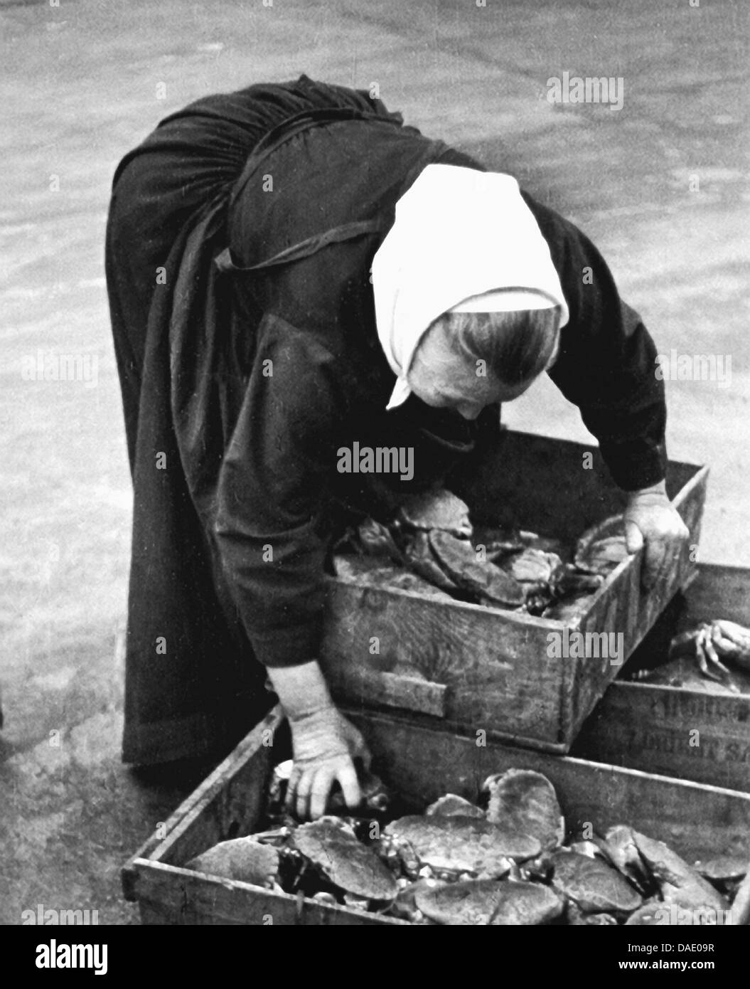 Francia 1934, Donna della scatola di contenimento con granchi. Immagine dal fotografo Fred Stein (1909-1967) che emigrarono 1933 dalla Germania nazista per la Francia e infine negli Stati Uniti. Foto Stock