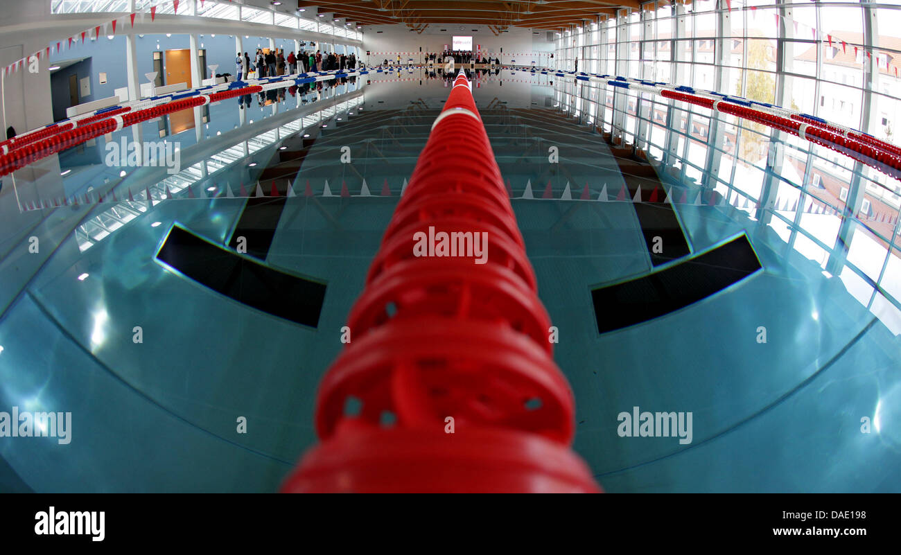 La nuova piscina hall è visto in Halle (Saale), Germania, 07 novembre 2011. Dal 2009, 40 anni swimming hall è stato abbattuto e un nuovo centro di formazione è stato costruito per un costo di 12 milioni di euro. Biedermann & Co pratichiamo qui per le competizioni. Foto: Jan Woitas Foto Stock