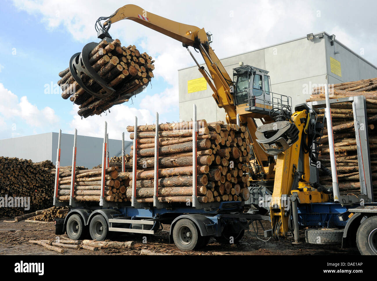 Un loader carica il truciolo di legno la fabbrica del gruppo Classen in  Baruth, Germania, 12 ottobre 2011. L'azienda elabora 110 camion carichi di  tronchi di alberi in pannelli in MDF quotidianamente