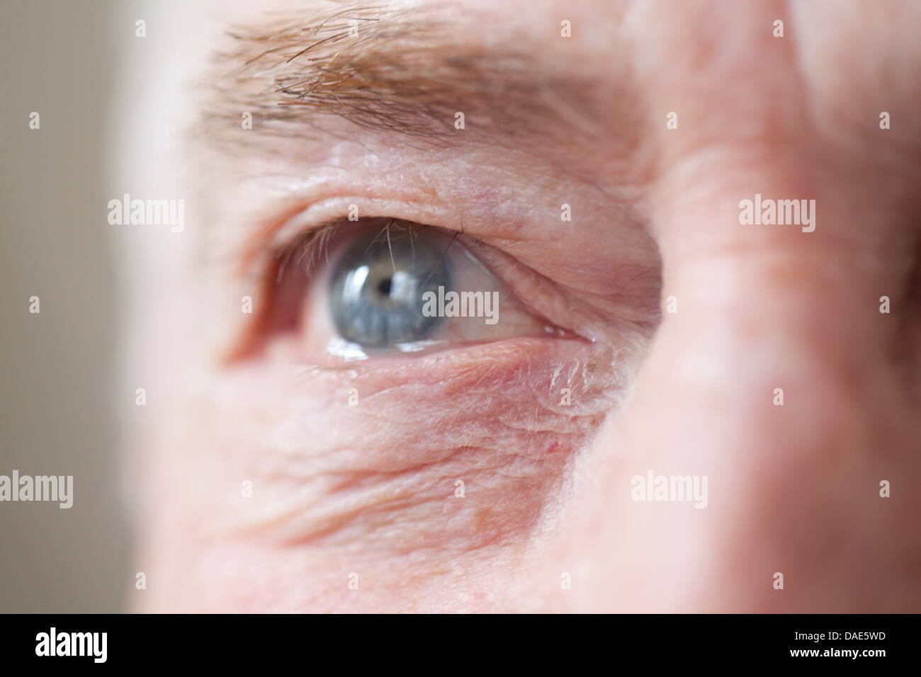 Senior man's eye, close up Foto Stock