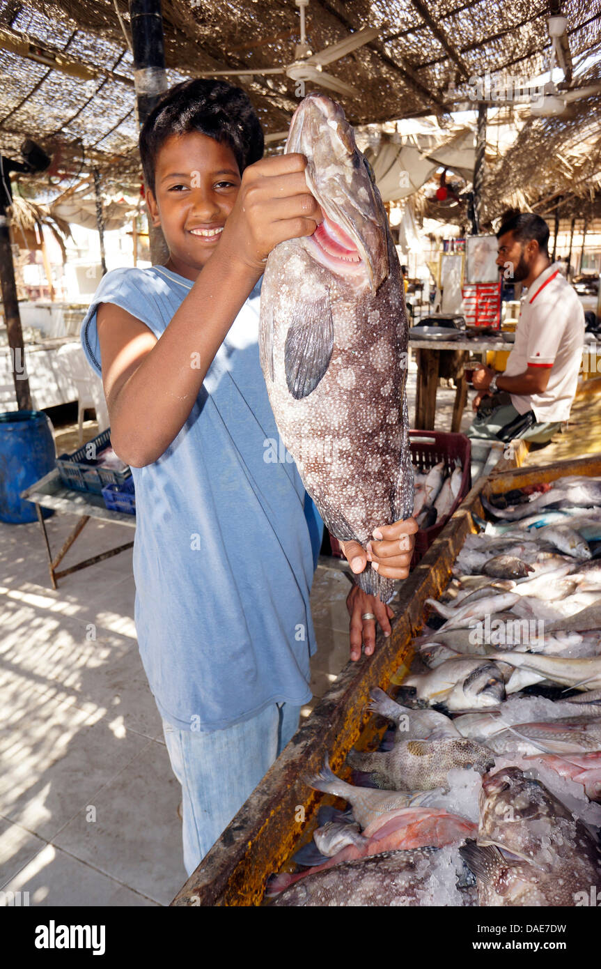 Cernie (Epinephelus spec.), giovane pescivendolo presentando una cernia presso lo stand di vendita, Egitto, Hurghada Foto Stock