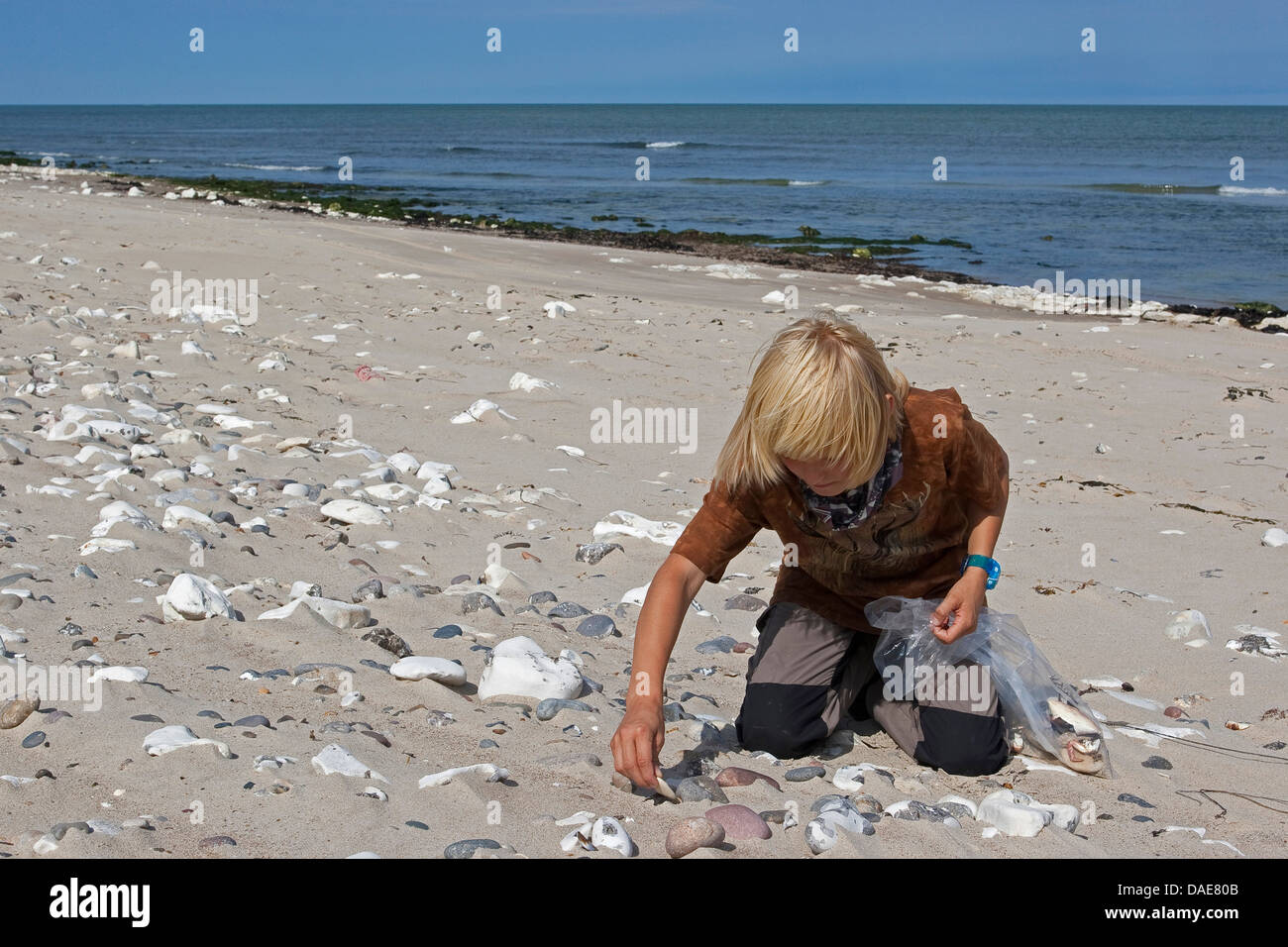 Ragazzo pietre di raccolta, le cozze e gusci di lumaca e di altri beni a filamento al Mare del Nord spiaggia di sabbia per la creazione, Germania Foto Stock