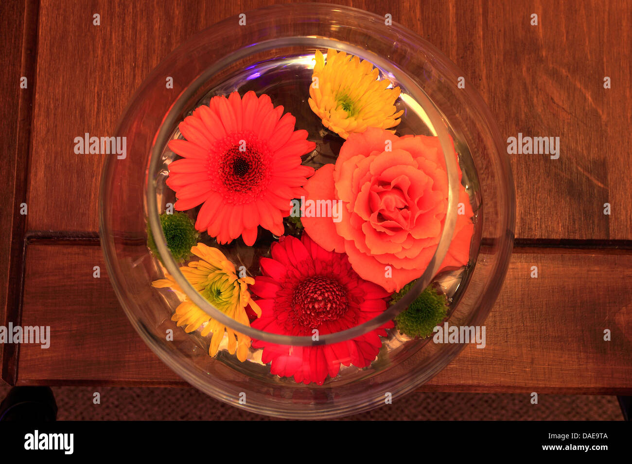 Interno di una camera di hotel con pesce ciotola fiori display Foto Stock