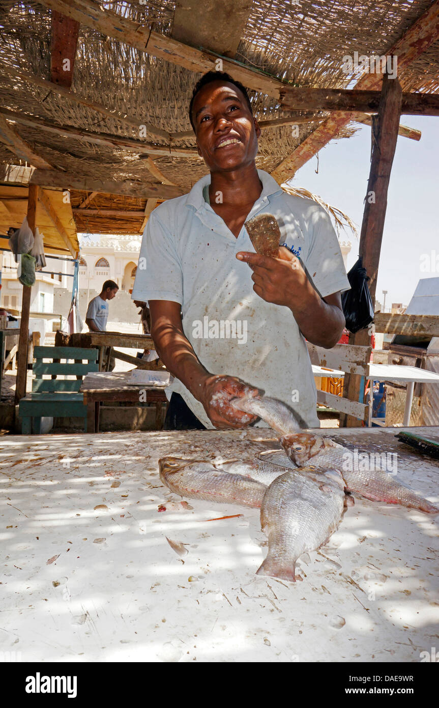 Fish monger presso il mercato del pesce, Egitto, Hurghada Foto Stock