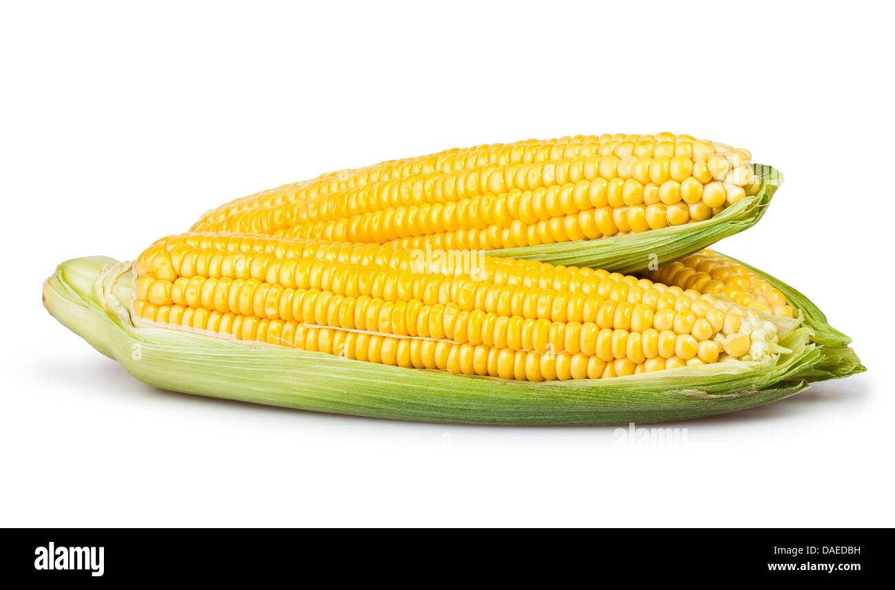 Orecchio mais gruppo su sfondo bianco Foto Stock