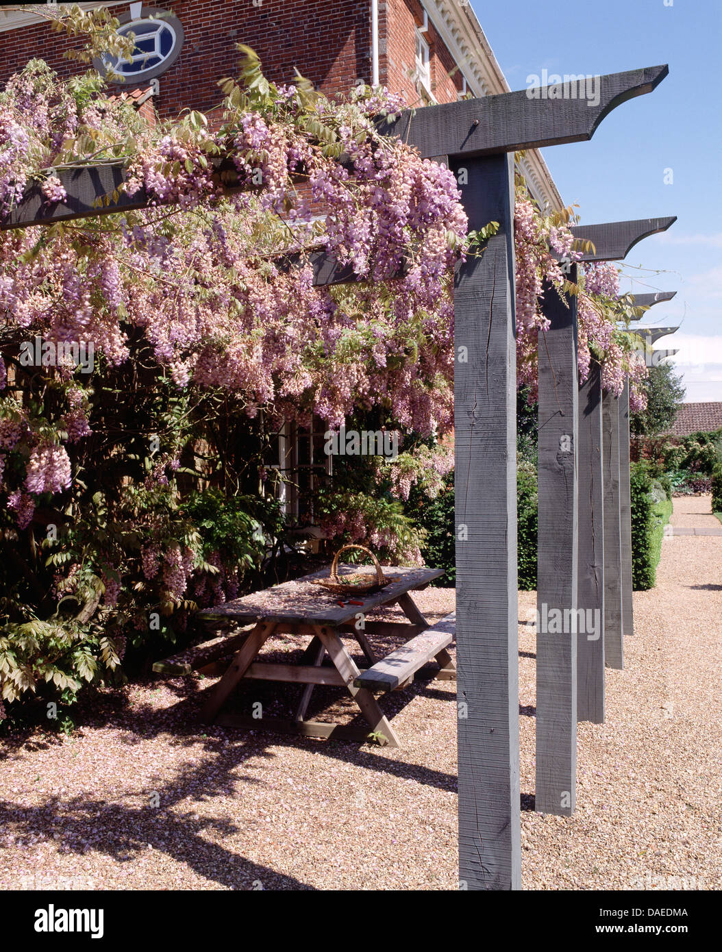 Casa di campagna con dipinto di pergola in legno coperto di glicine  wisteria fornendo ombra per il sedile unico e la tabella Foto stock - Alamy