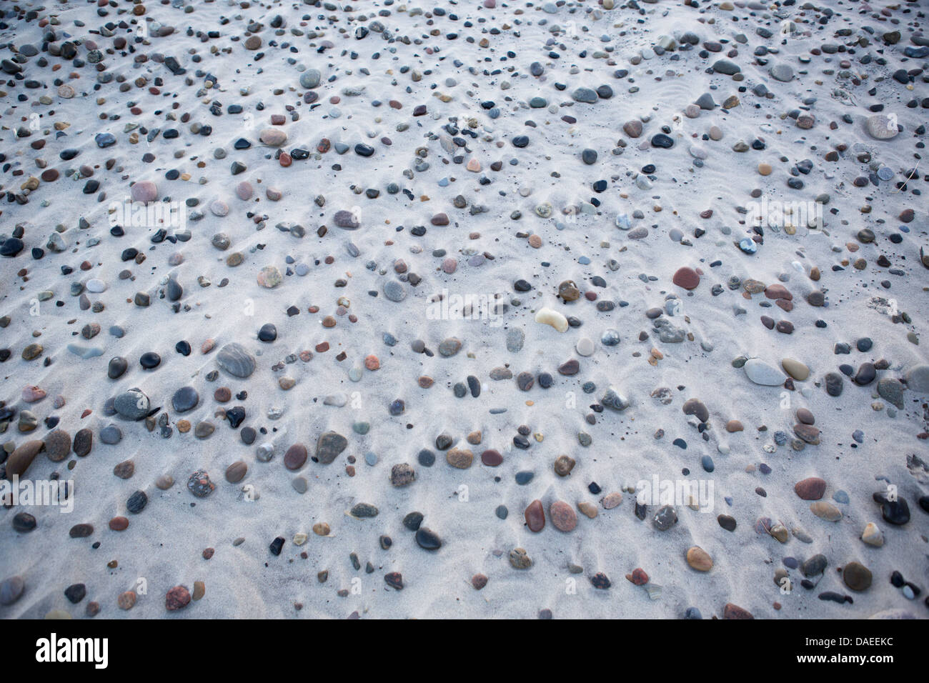 Pebbels sulla spiaggia in sabbia. Foto Stock