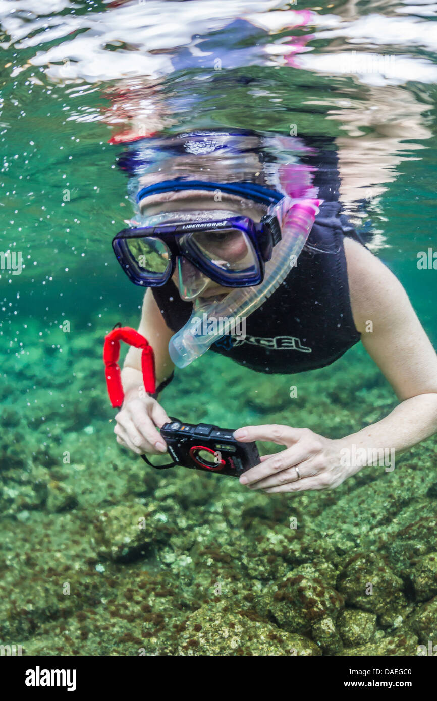 Karen Rentz snorkeling e fare la fotografia subacquea in Kapoho pozze di marea a sud di Hilo, Big Island, Hawaii, STATI UNITI D'AMERICA Foto Stock