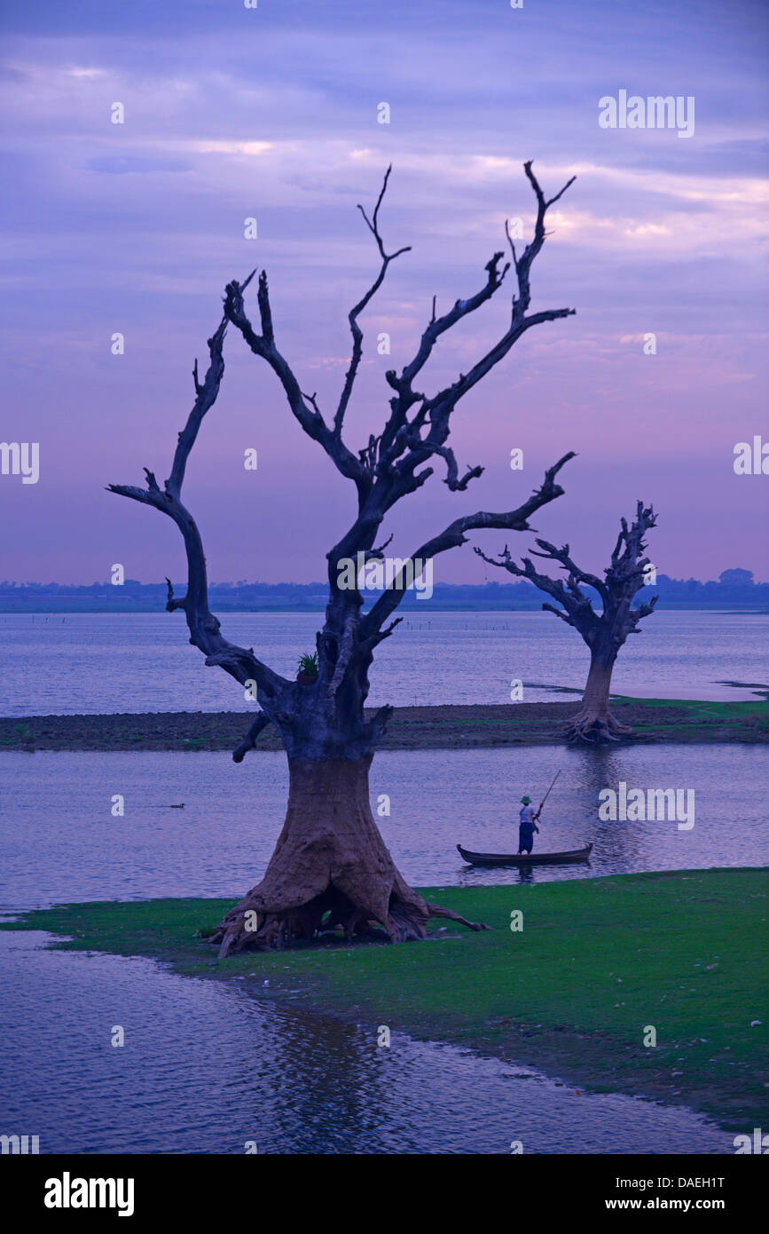Vecchi alberi sulla riva del lago Taungthaman ad Amarapura vicino alla U Bein bridge, Birmania, Mandalay Foto Stock