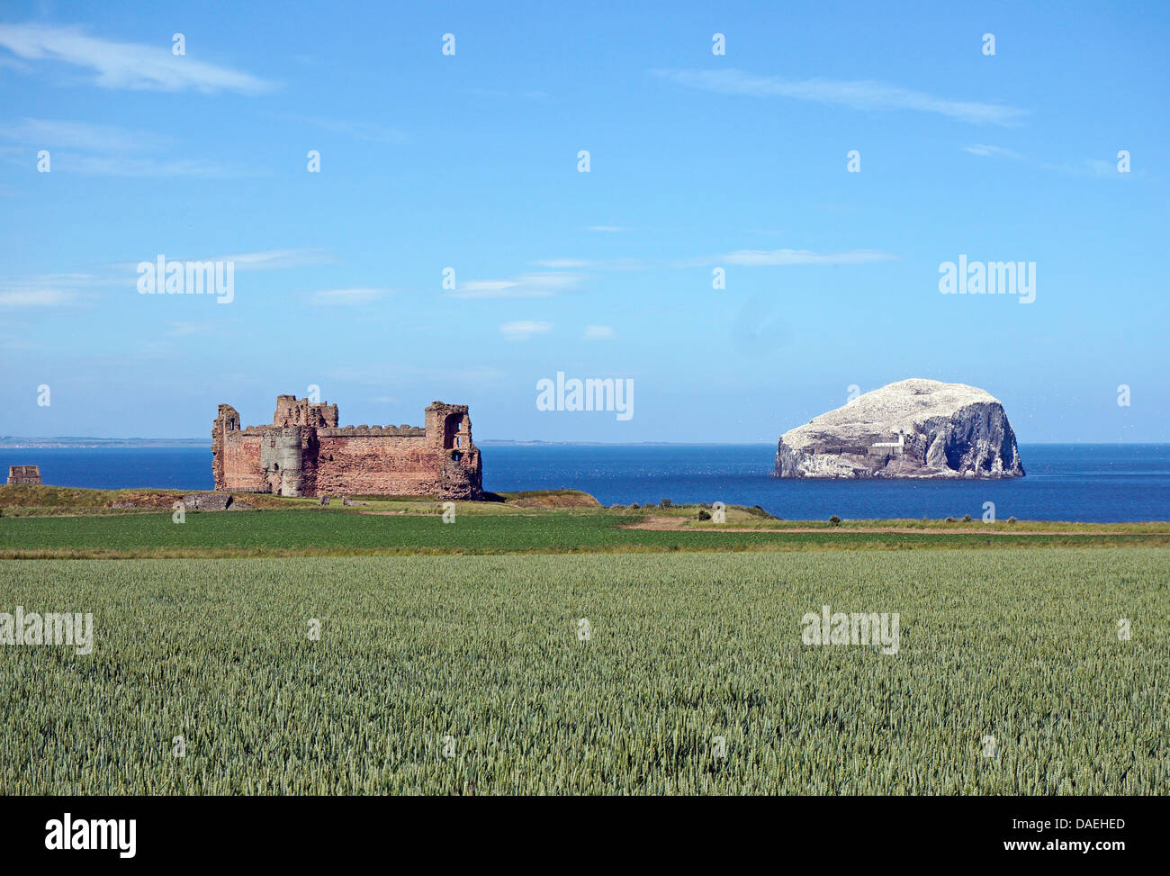 Il castello di Tantallon est del North Berwick in East Lothian in Scozia con Bass Rock nel Firth of Forth Foto Stock