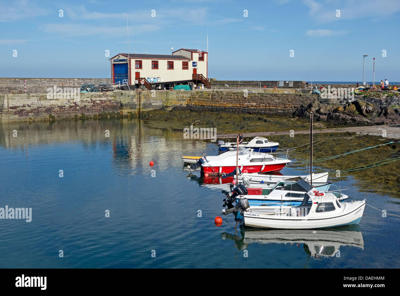 St. Abbs Harbour in confini Scozzesi Scozia Scotland Foto Stock