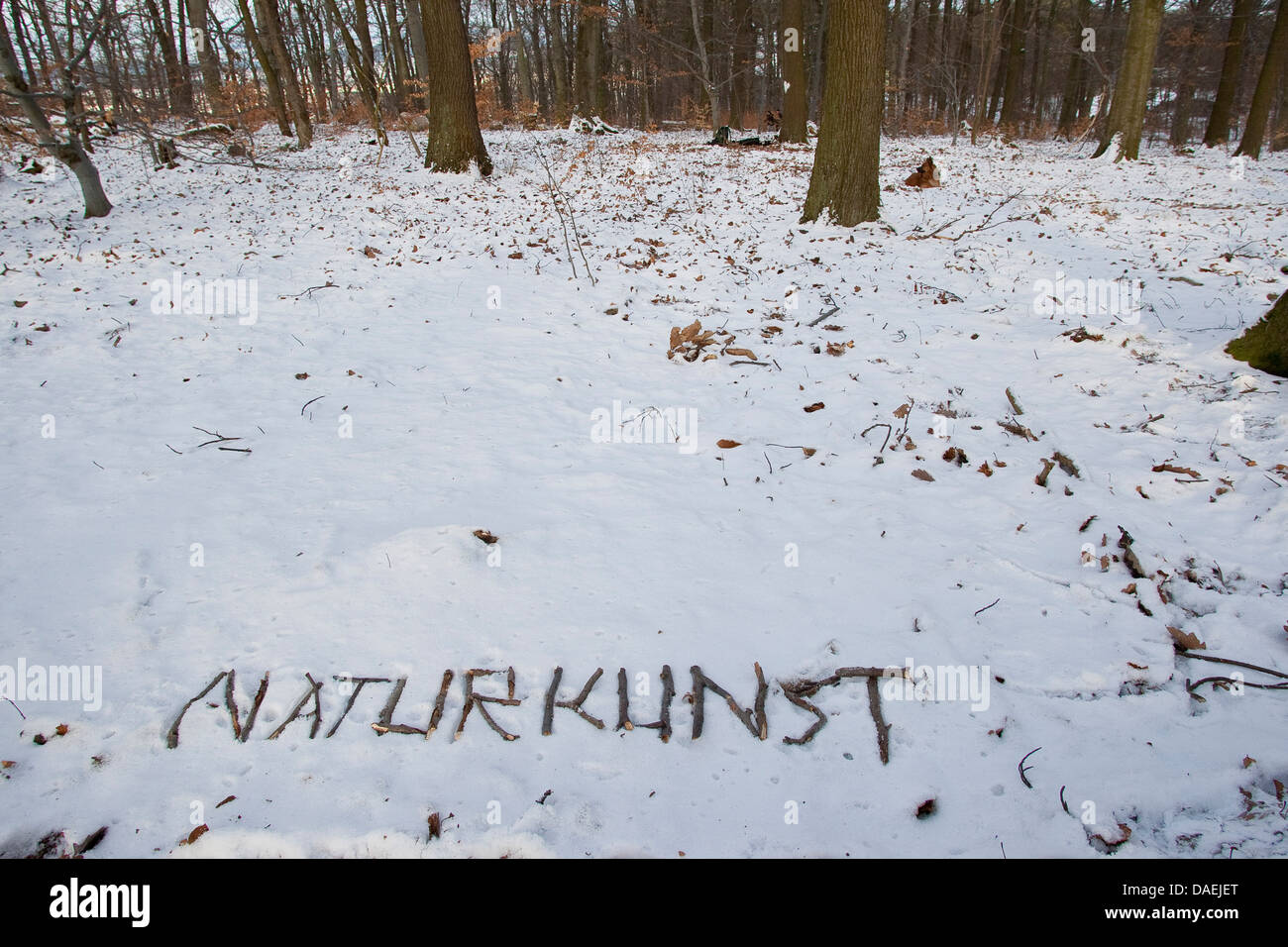 La scrittura di 'Naturkunst - arte natura' nella neve, Germania Foto Stock