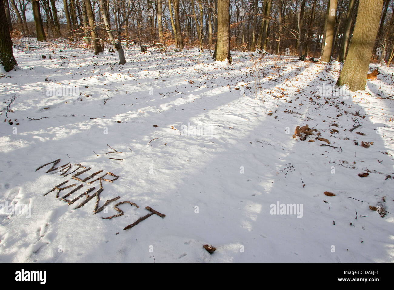 La scrittura di 'Naturkunst - arte natura' nella neve, Germania Foto Stock