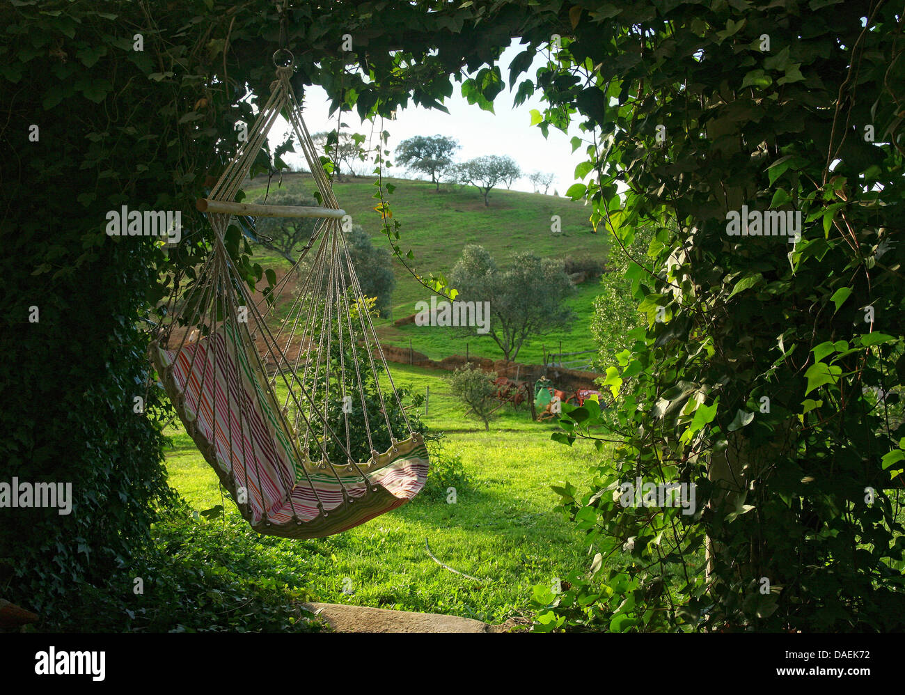 Swing sedia davanti di albero da frutta prato, portogallo Alentejo Foto Stock