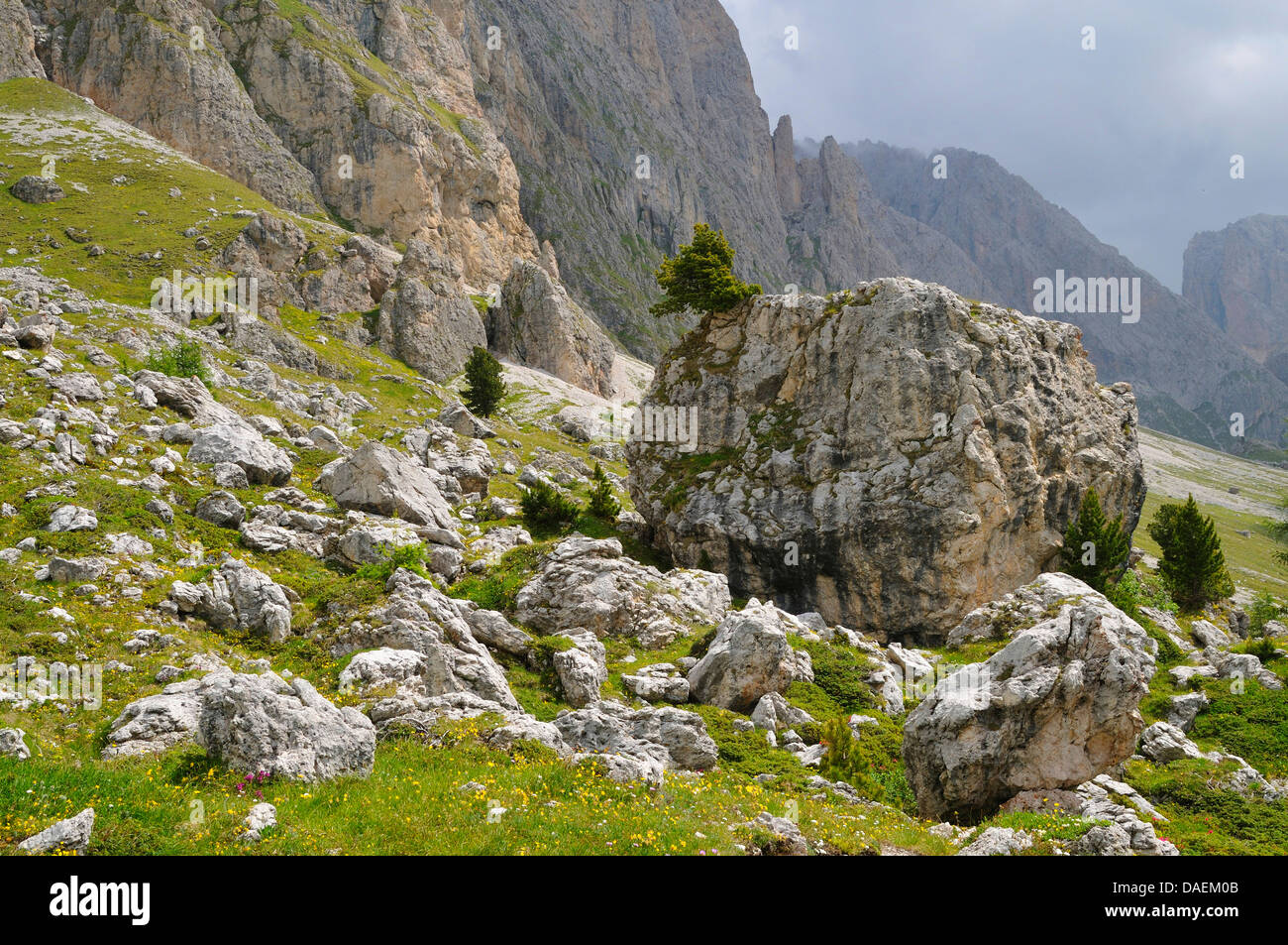Zona rocciosa Pieralongia, Italia Foto Stock