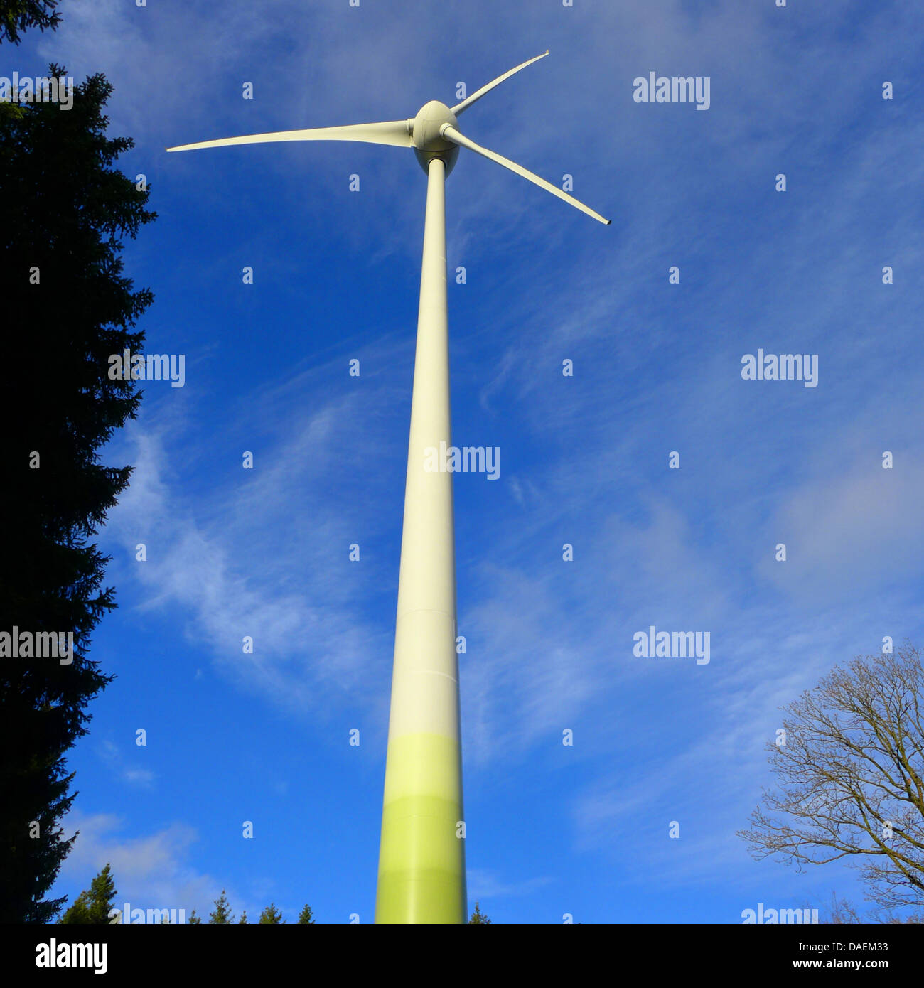 Wind power station incalza da una foresta, in Germania, in Renania settentrionale-Vestfalia, Sauerland Foto Stock