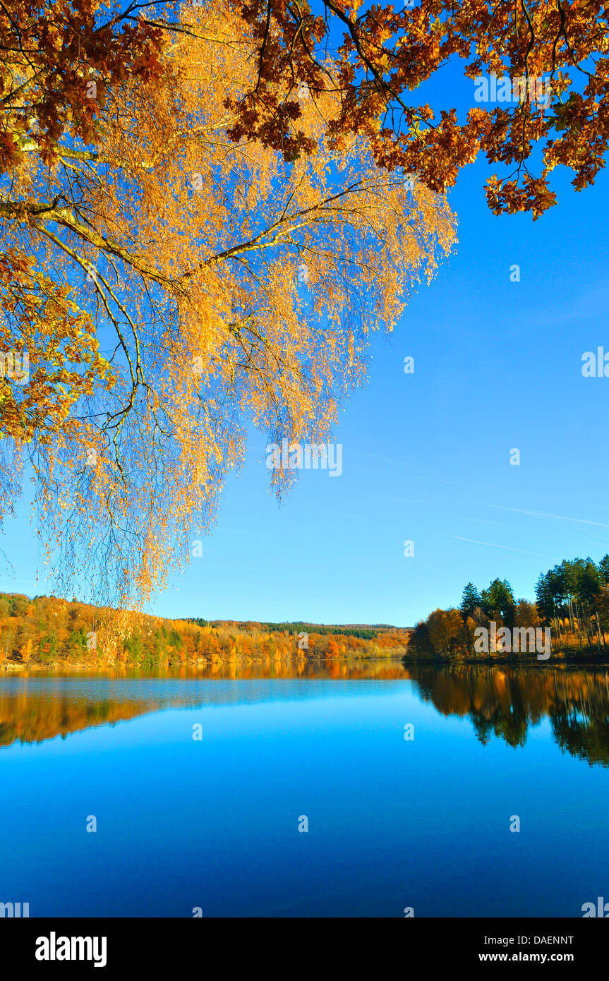 Cielo blu in un bosco misto in autunno di colori a un lago, Germania Foto Stock