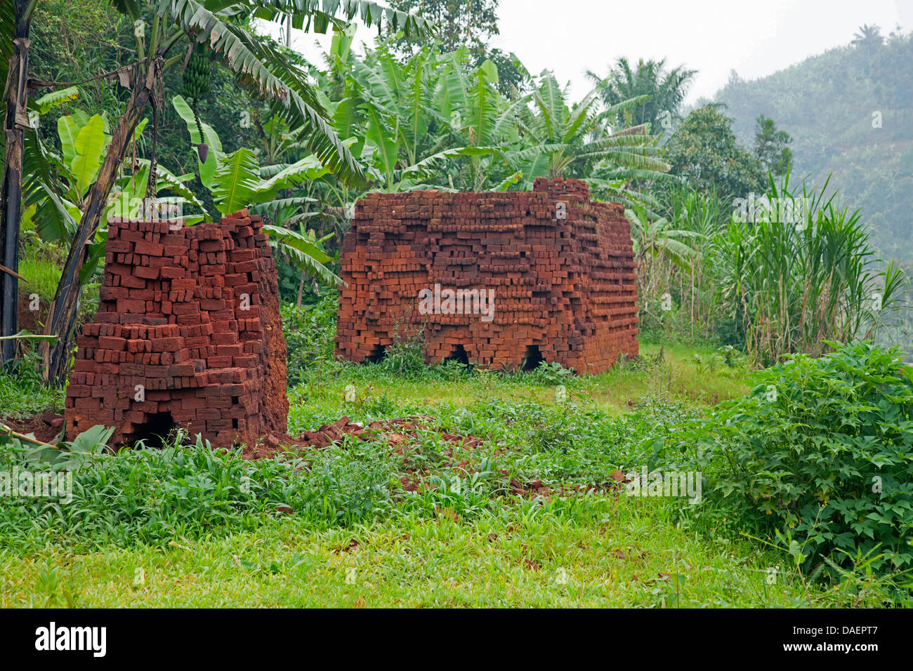 Le pile di mattoni di fango, Burundi Bujumbura Foto Stock