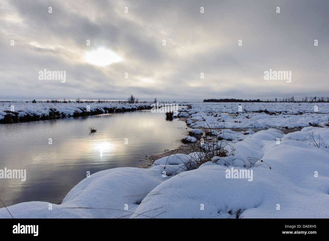 Inverno in brughiera, Germania, Bassa Sassonia, Goldenstedter Moor Foto Stock