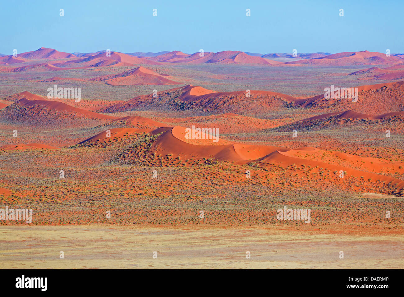 Deserto del Namib in Namibia, Namibia, Namib Naukluft National Park, Sossusvlei, Swakomund Foto Stock